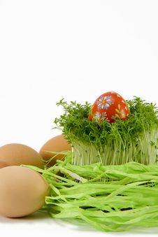 The Red Egg With Cress Stock Image The Red Egg With Cress Stock Image
