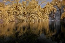 Infrared Photo – Lake, Rock, And Tree In The Par Royalty Free Stock Photo