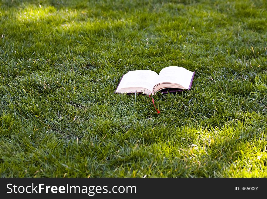 Opened book in the grass