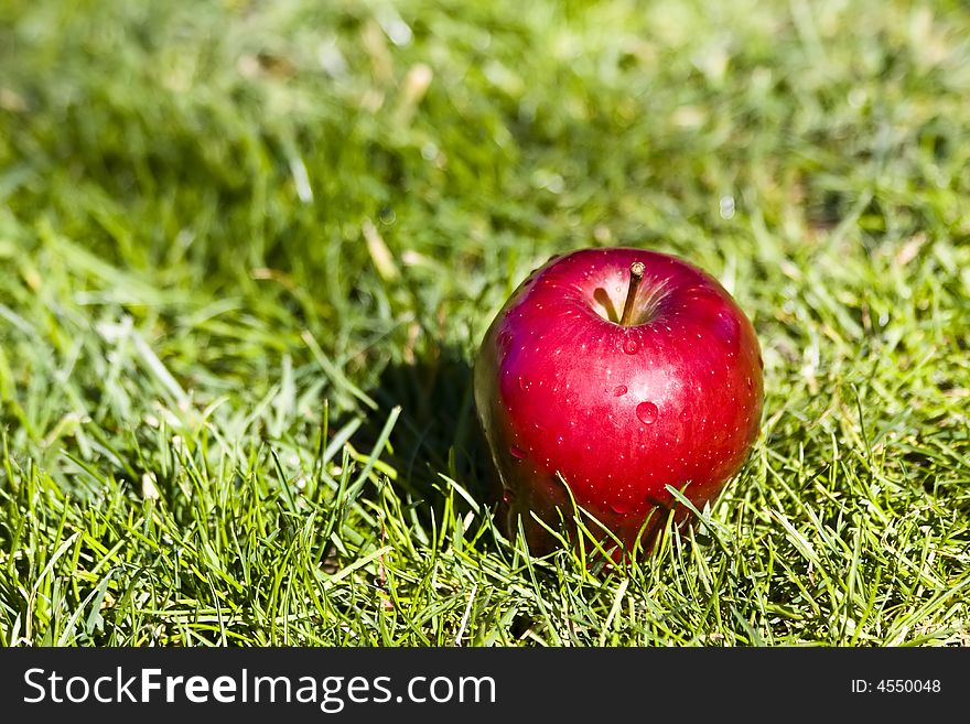 Red apple over the grass. Red apple over the grass