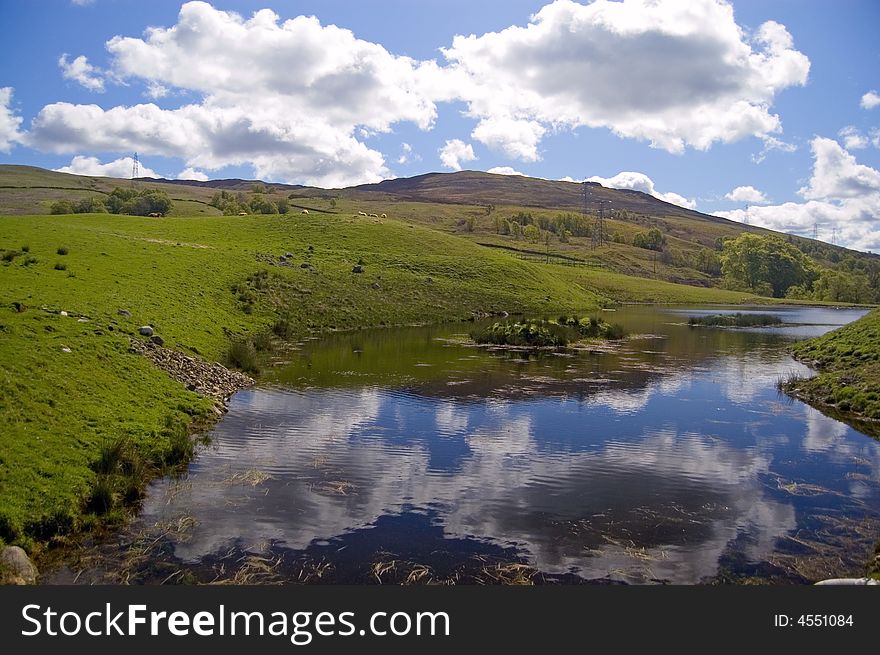 Reflections in the water