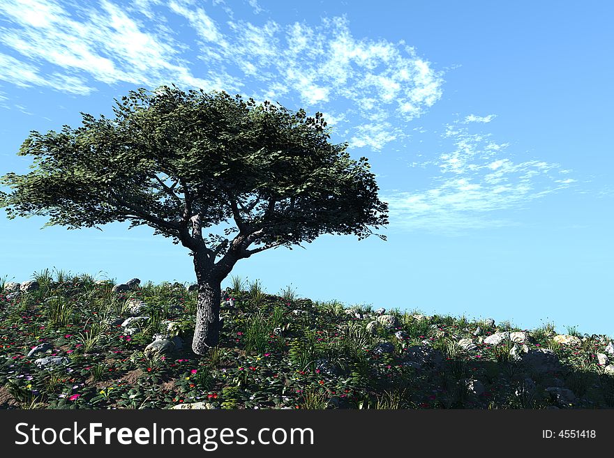 Cherry tree on a hill with a blue sky
