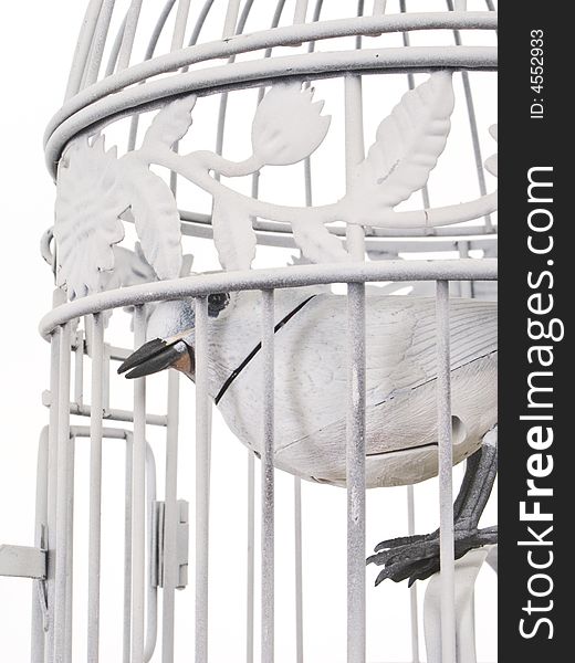 Mechanical Bird Looking Of Cage From Side.