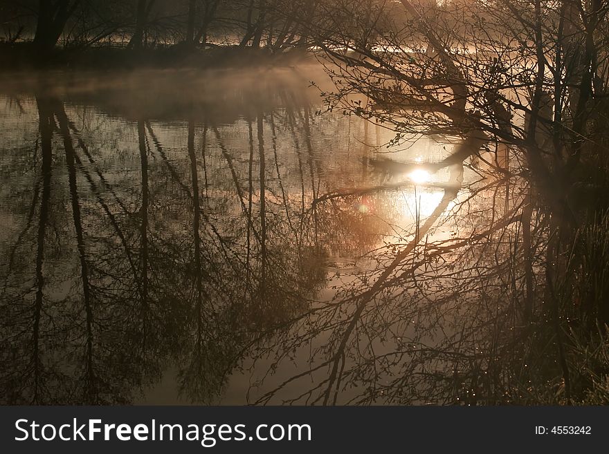 Lake And Trees