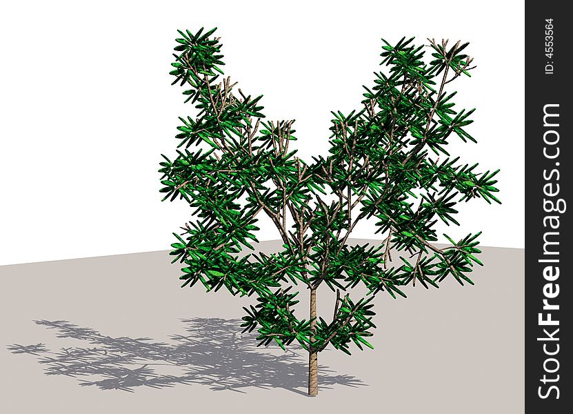 Rendering of a tree with shadow