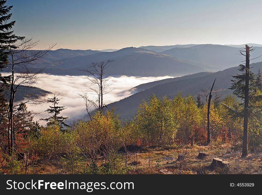 Colorful autumn in the mountains and mist