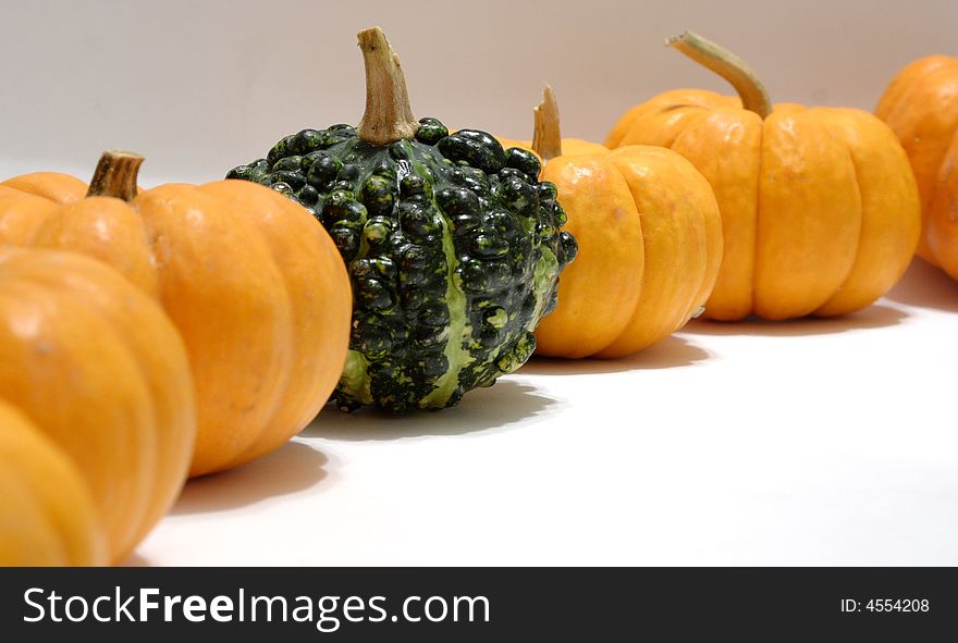 A line of pumpkins with a single green gourd in their midst. A line of pumpkins with a single green gourd in their midst.