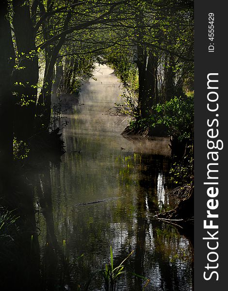 Small water stream and sunbeams between branches