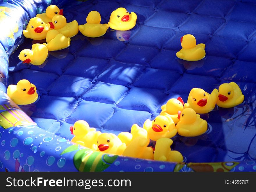 A flock of rubber ducks floating in a pool.