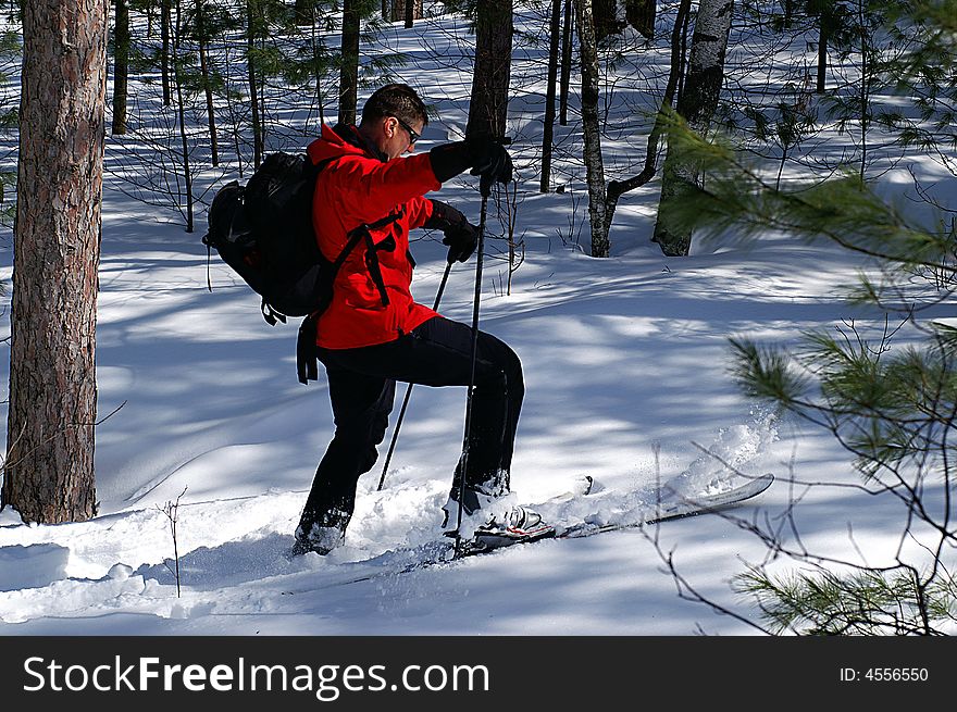 Traversing The Backcountry On Skis.