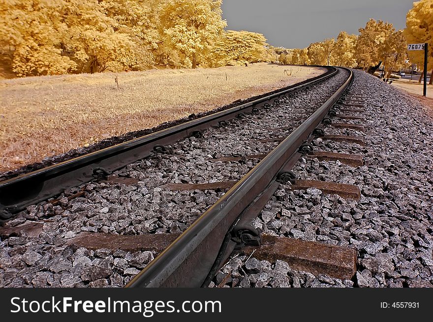 Infrared photo – railway, landscape, and tree in the parks