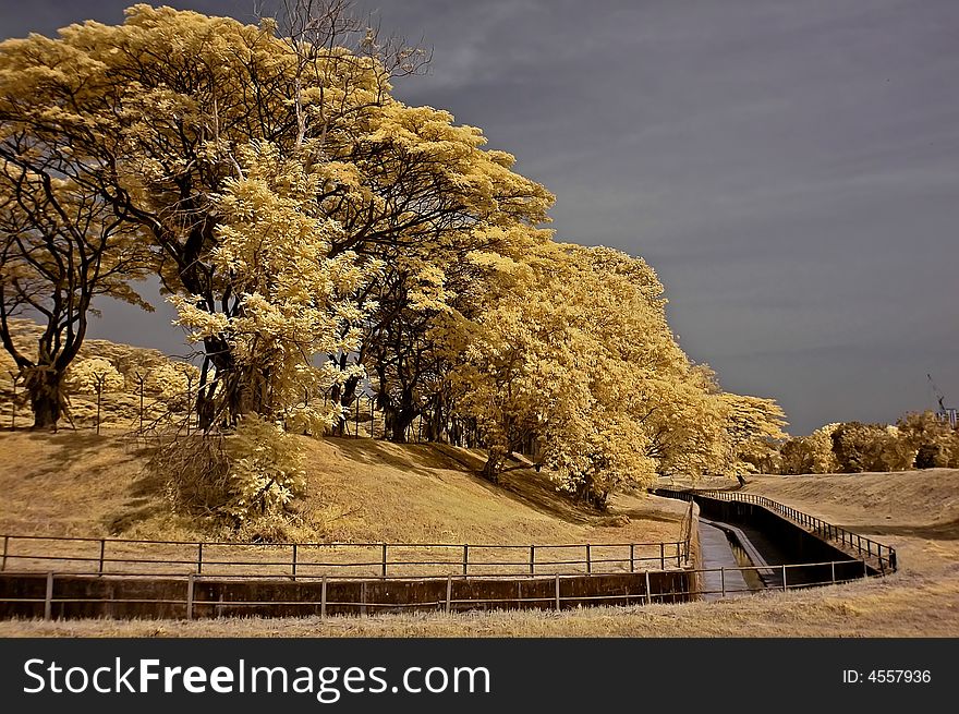 Infrared photo – drain, sky, landscape and tree