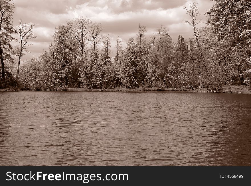 Lake in forest in sephia