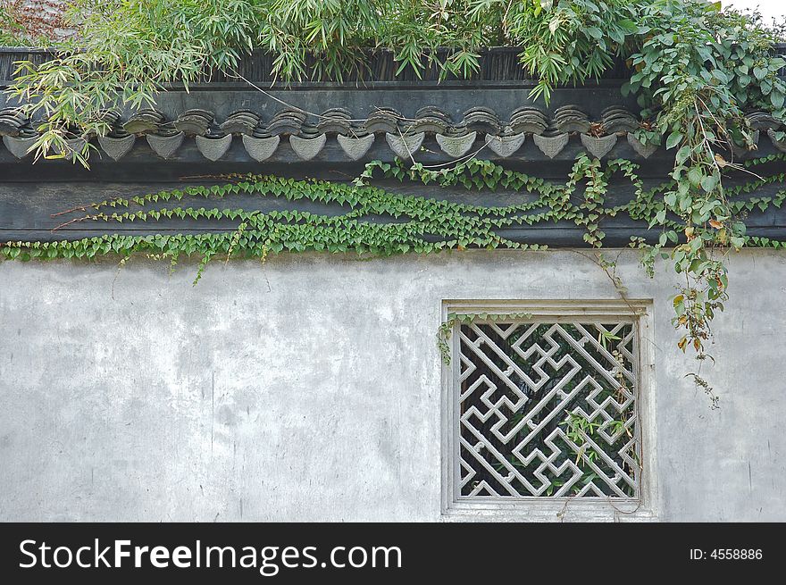 Window and vine of a chinese garden. Window and vine of a chinese garden