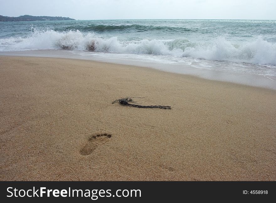 Footprint on a tropical beach.