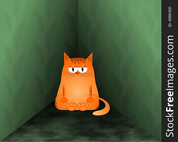 Cat in the corner