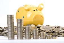 Piggy Bank And Coins Chart Stock Images