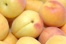 Fresh Peaches Or Apricots Royalty Free Stock Image Fresh Peaches Or Apricots Royalty Free Stock Image