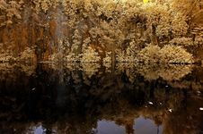 Infrared Photo – Lake, Rock, Reflection And Tree Stock Photography Infrared Photo – Lake, Rock, Reflection And Tree Stock Photography