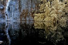 Infrared Photo – Lake, Rock, Reflection And Tree Royalty Free Stock Image