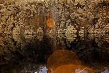 Infrared Photo – Lake, Rock, Reflection And Tree Royalty Free Stock Photos Infrared Photo – Lake, Rock, Reflection And Tree Royalty Free Stock Photos