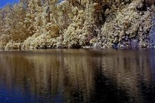Infrared Photo – Lake, Rock, Reflection And Tree Stock Images Infrared Photo – Lake, Rock, Reflection And Tree Stock Images