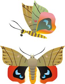 Vector Butterfly Royalty Free Stock Photo