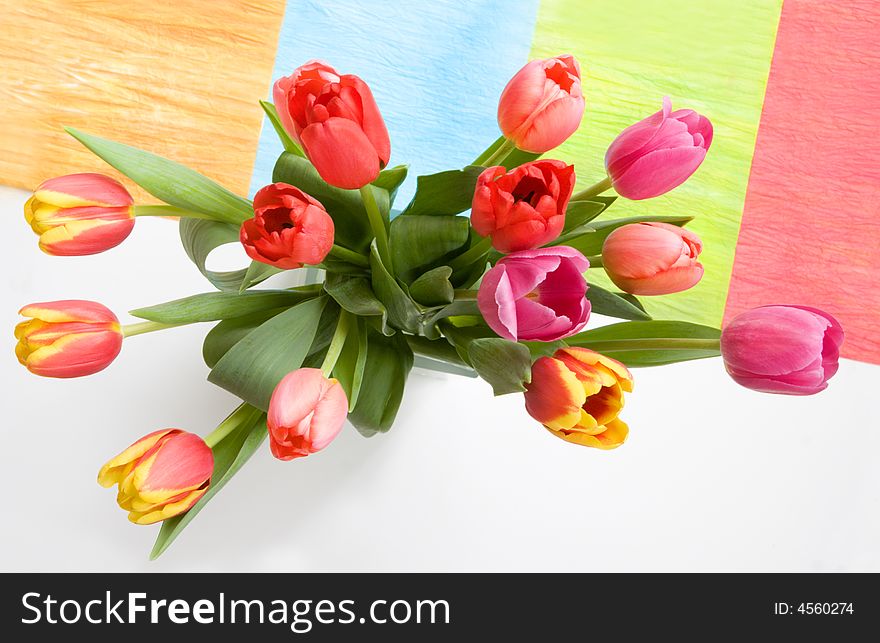 Tulips in vase with interesting background. Tulips in vase with interesting background