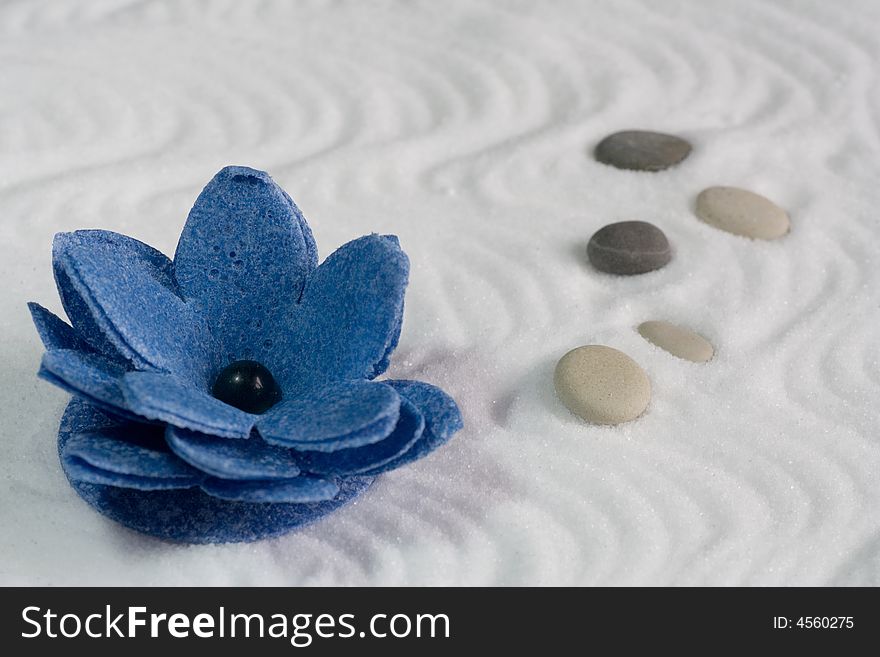 SPA flower-foam and salt bath with sand