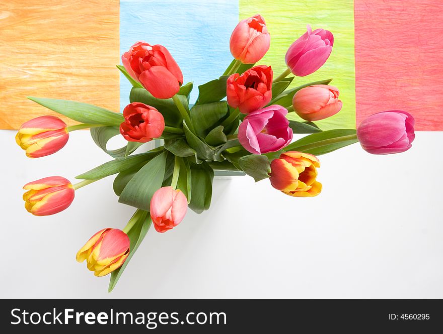 Tulilps in vase with colorful background. Tulilps in vase with colorful background