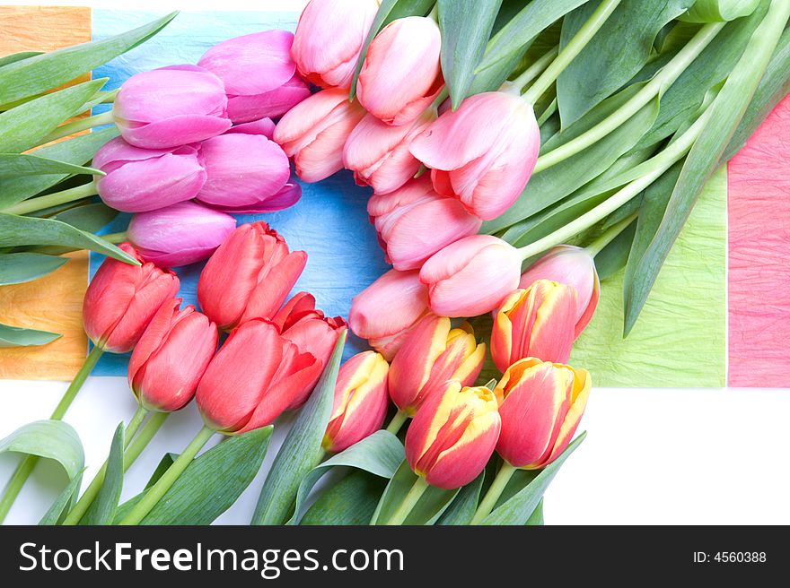 Bunches of colorful tulips in a circle. Bunches of colorful tulips in a circle