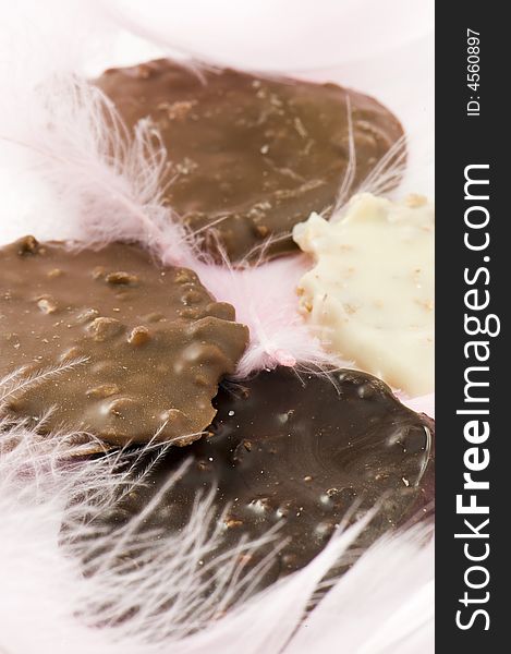 Chocolate pralines with decorative feathers. Macro image.