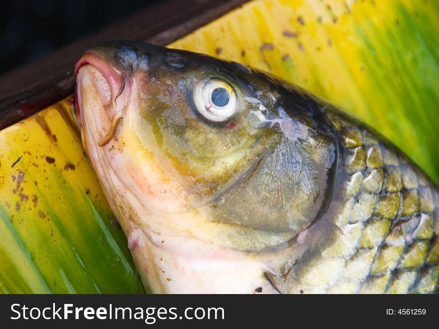 Fish at marketplace for sale