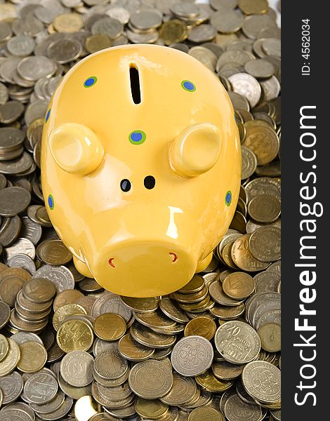 Piggy bank standing on coins. Business concept