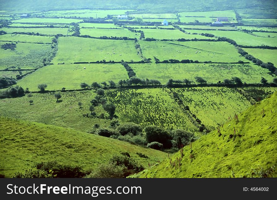 Green meadows in County Kerry, Ireland