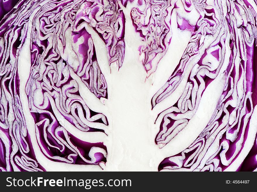 Image of a red cabbage section revealing a tree-shaped abstract