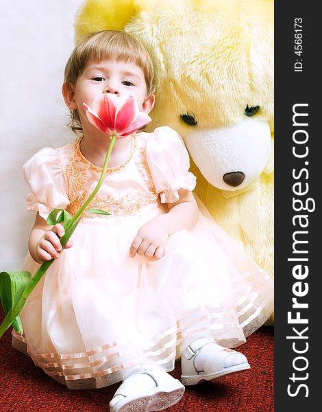 Cute little girl with tulip and teddy bear