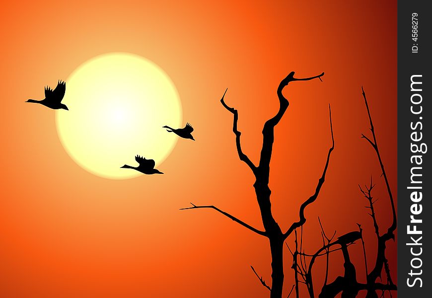 Beautiful sunset with flying birds and tree trunk. Beautiful sunset with flying birds and tree trunk.