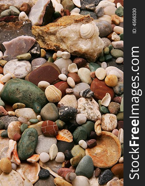 Pebbles and seashells on the beach