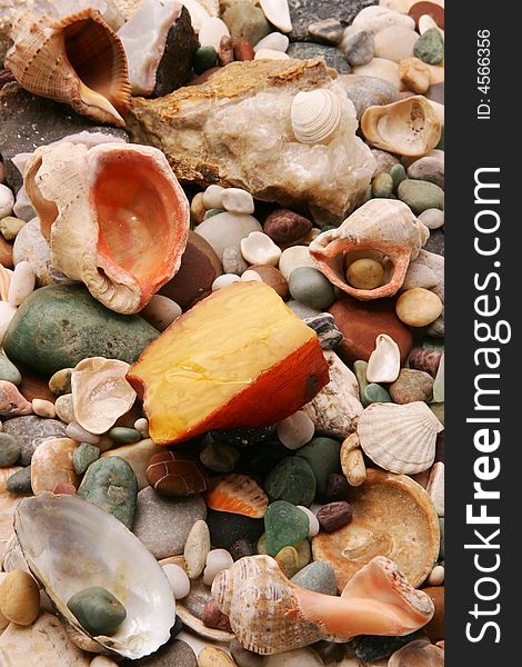 A piece of rugged amber on the stone beach amidst seashells. A piece of rugged amber on the stone beach amidst seashells