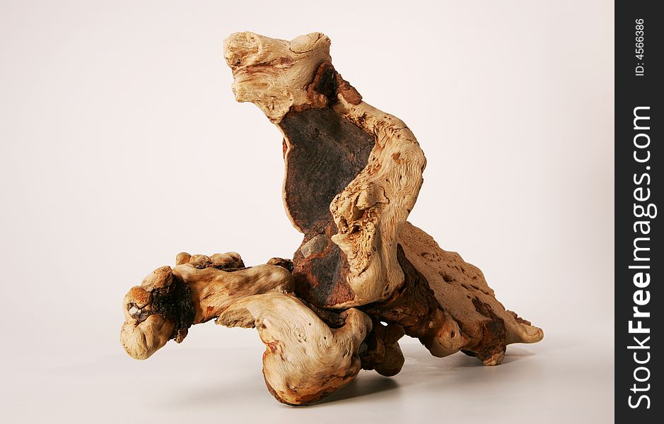 Wooden Creature