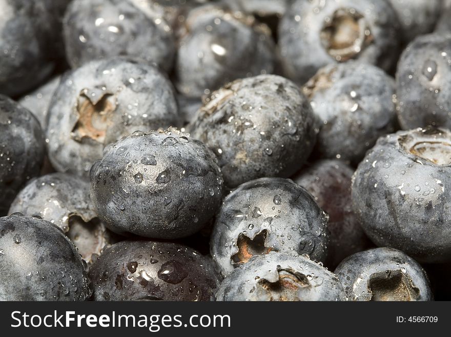 Close up shot of fresh blueberry with water drops.