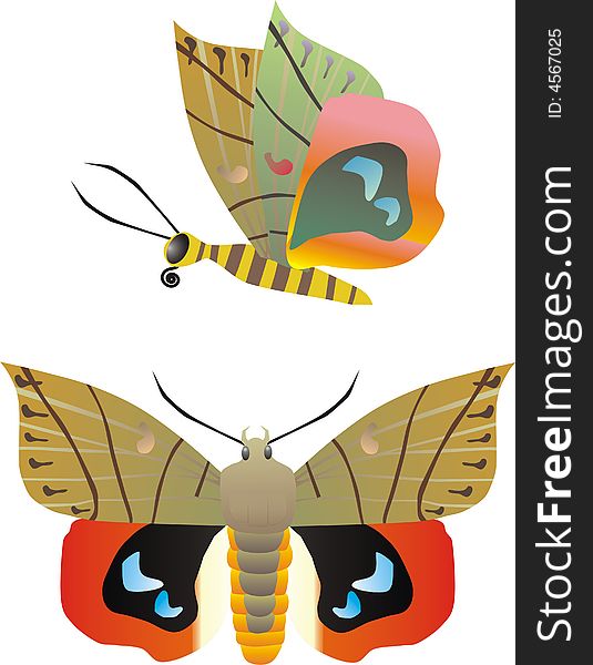 Vector butterfly in two positions