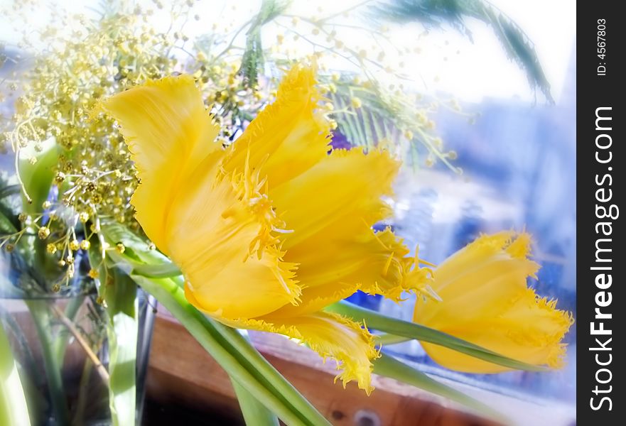 Tulips close-up special stylized blurring. Tulips close-up special stylized blurring