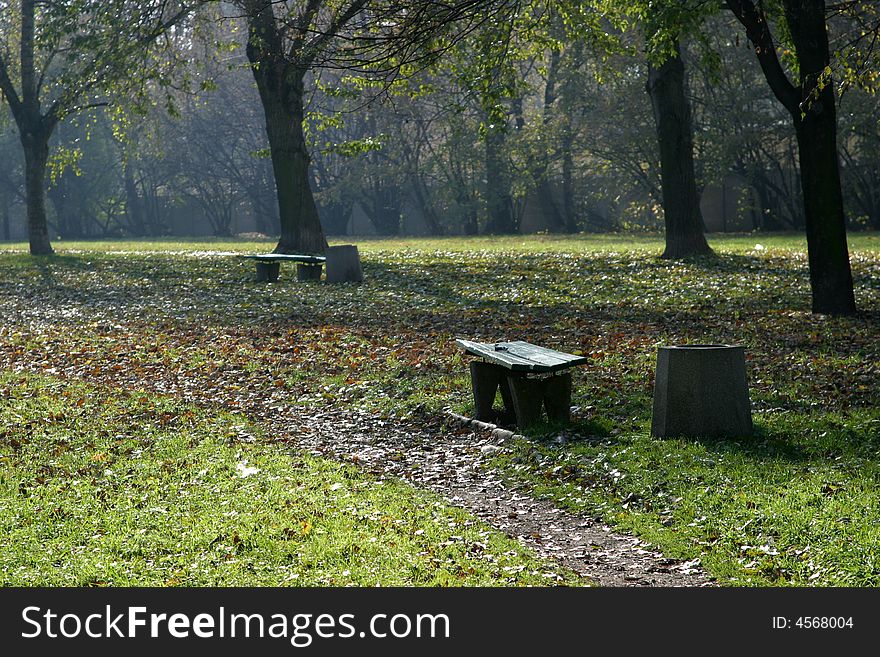 Place in park in background of tree. Place in park in background of tree