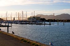 Marina Next To Golden Gate Bridge Stock Image