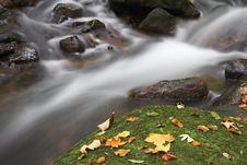 Torrent At Fall Royalty Free Stock Photography