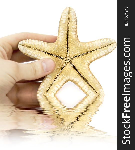 Great sea star isolated and human hand