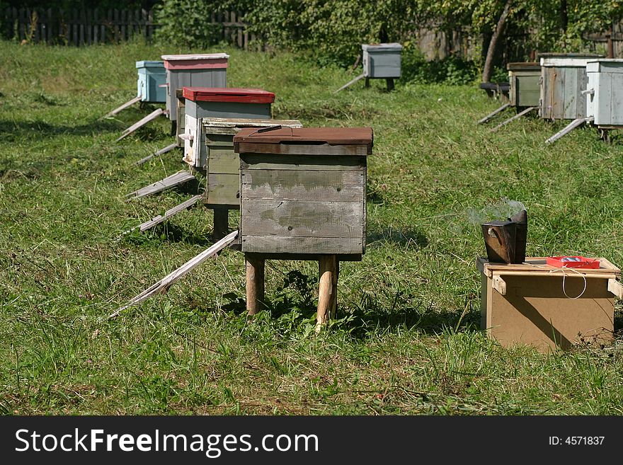 Several beehives at green grass