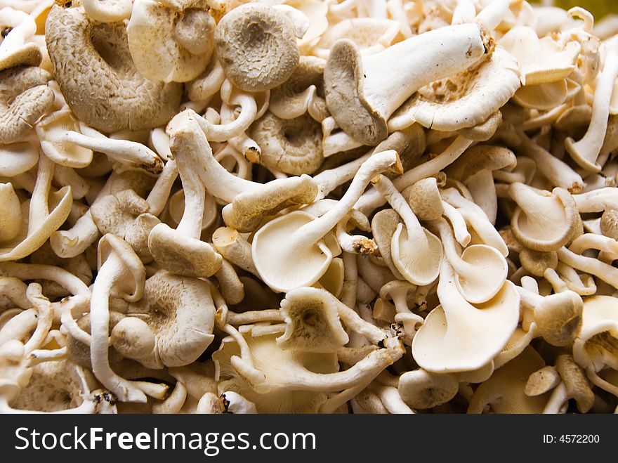 Mushrooms for sale at marketplace